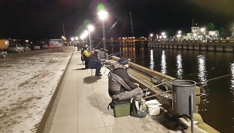 Stintų gaudytojai Klaipėdoje