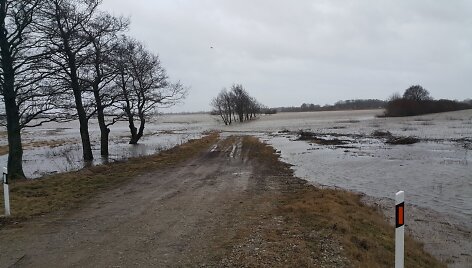 Patvinusi Minijos upė