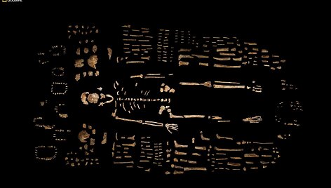 Manoma, kad &scaron;ie palaikai priklausė žmogaus protėvių rū&scaron;iai, pavadinimu naledi