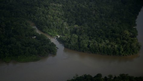 Amazonės žiotyse naftos ieškoti planuojantys brazilai kelia pavojų vietinei bendruomenei ir gamtai