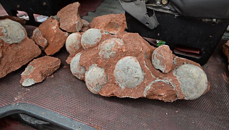 Kinijos statybininkų dieną praskaidrino neįprastas radinys &ndash; dinozaurų kiau&scaron;iniai
