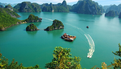 Vietnamas