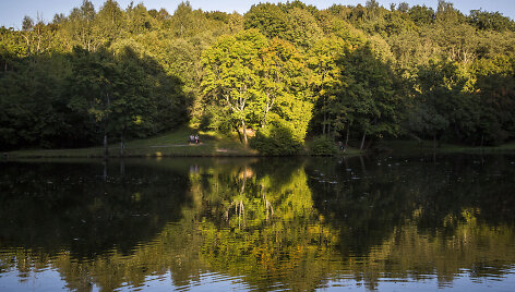 Pavilnių regioninis parkas