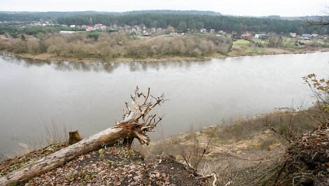 Drąseikių atodanga