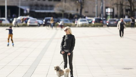 Vasarą primenantys orai išviliojo vilniečius į gatves