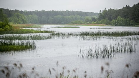 Lietus gaivina gamtą ir merkia praeivius