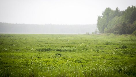 Lietus gaivina gamtą ir merkia praeivius