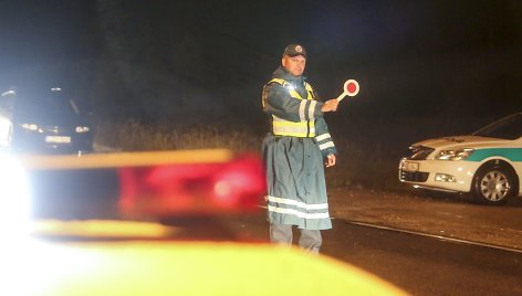 Vilniaus policijos reidas po Joninių šventės