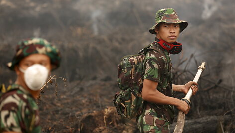 Dėl El Nino kilo gaisrai Indonezijoje