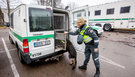 Policijos kinologė Rasa Dykinaitė