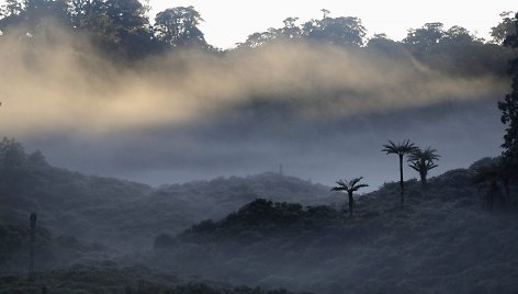 Papua Naujoji Gvinėja.