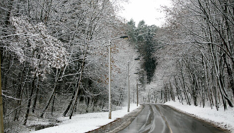 Žiema
