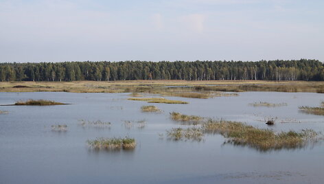 Novaraistis