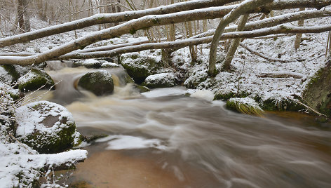 Upelis žiemą