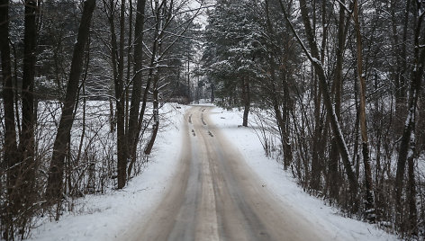 Žiema Verkių regioniniame parke