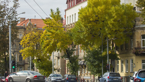 Rudenėjantis Vilnius