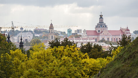 Rudenėjantis Vilnius