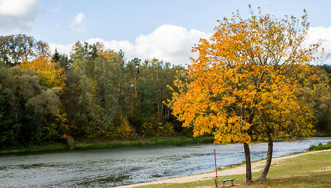 Neries pakrantė