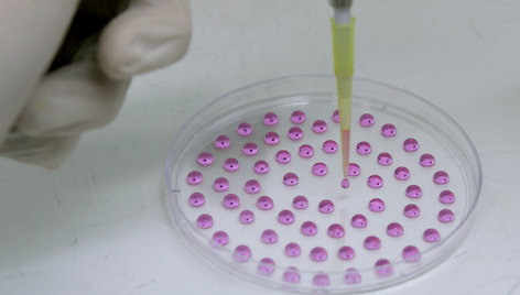 Mokslininkai manipuliuoja laboratorinėje lėkštutėje esančiomis embrioninėmis kamieninėmis ląstelėmis,