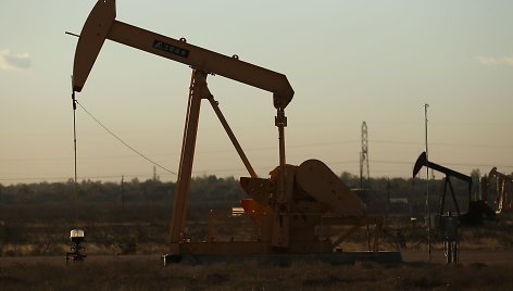 Naftos gavyba