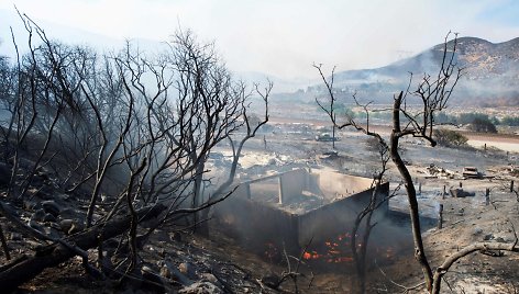 Kalifornijoje siaučiant dideliems krūmynų gaisrams paskelbta didelė evakuacija