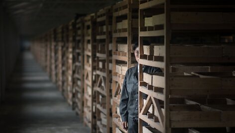 &Scaron;iaurės Korėjos &scaron;iokiadieniai