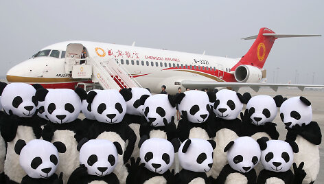 Žmonės pandų kostiumuose &scaron;alia &bdquo;Chengdu airlines&ldquo; lėktuvo 