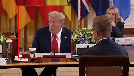 Donaldas Trumpas ir Alexanderas Stubbas