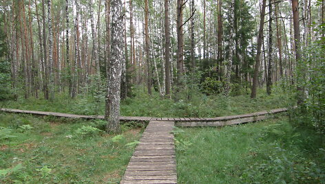 Varnikų pažintinis pėsčiųjų takas