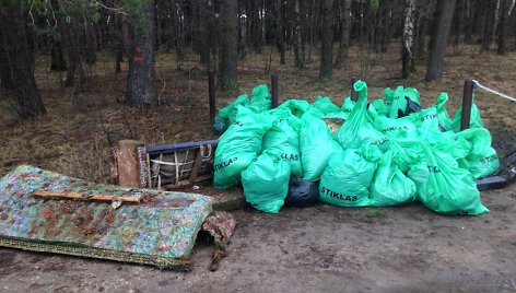 Balsių miškelio tvarkymas