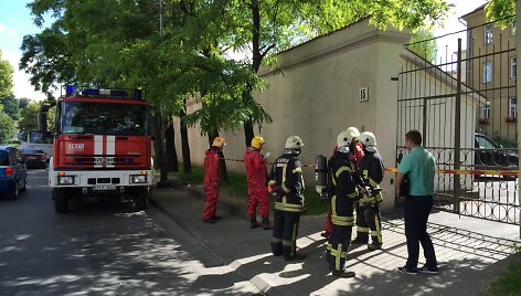 Vilniuje rasta talpa su gyvsidabriu