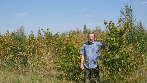 Kazimieras &Scaron;iaulys