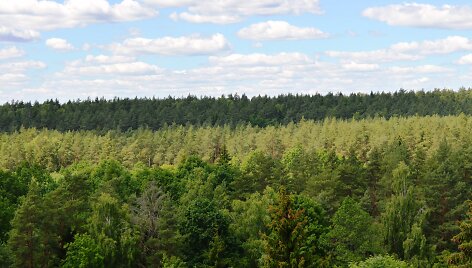 Nuo apžvalgos bok&scaron;to atsiveria nuostabi panorama į Anyk&scaron;čių apylinkes