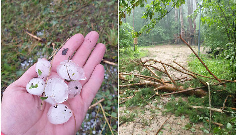 Latvijos valstybinių miškų gamtos parkas Tervetėje