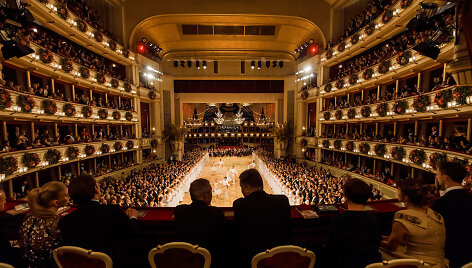 Opera Vienos pokylio metu