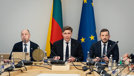 Socialdemokratų partijos, Lietuvos valstiečių ir žaliųjų sąjungos bei Demokratų sąjungos &bdquo;Vardan Lietuvos&ldquo; atstovų derybos 