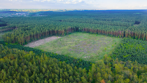 Miškų kirtimas Amazonėje