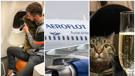 „Aeroflot“ skaudžiai nubaudė „storo katino kontrabandininką“