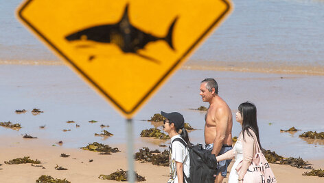 JEREMY PIPER / REUTERS