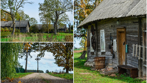 Žybartų kaimas (Radviliškio r.)