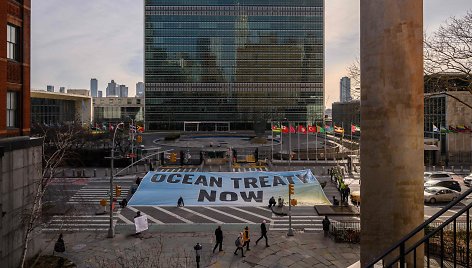 „Greenpeace“ aktyvistai kelia plakatą priešais Jungtinių Tautų būstinę vykstant JT deryboms dėl atviros jūros apsaugos sutarties