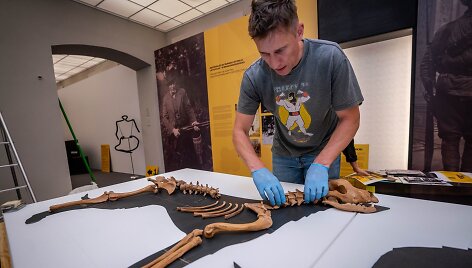Archeologas P.Blaževičius įrenginėja parodą &bdquo;Istorija vizgina uodegą&ldquo;