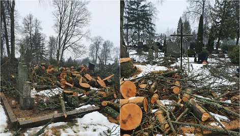 Seirijų kapinėse iškirsti medžiai