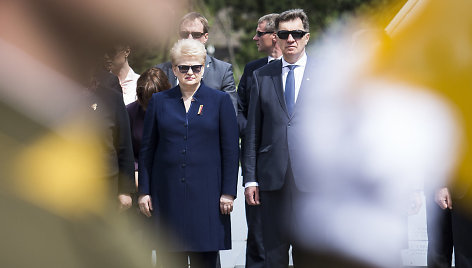 Prezidentavimo laikotarpiu D.Grybauskaitė dirbo su trijų kadencijų Seimais ir Vyriausybėmis, vadovautomis konservatoriaus Andriaus Kubiliaus, socialdemokrato Algirdo Butkevičiaus bei „valstiečių“ deleguoto Sauliaus Skvernelio.