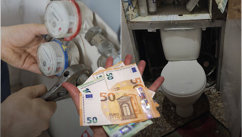 Skaitliukų keitimas