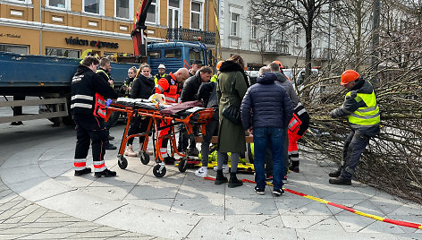 Laisvės alėjoje sodinant liepas sužalotas darbininkas