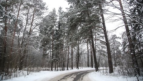 Žiema Verkių regioniniame parke