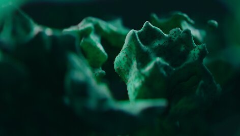 Emilis Jonaitis. &bdquo;The invisible side of plastic&ldquo;