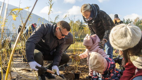 Sostinėje per rudeninę talką pasodinta per 3 tūkst. krūmų