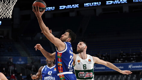 Vasilije Micičius